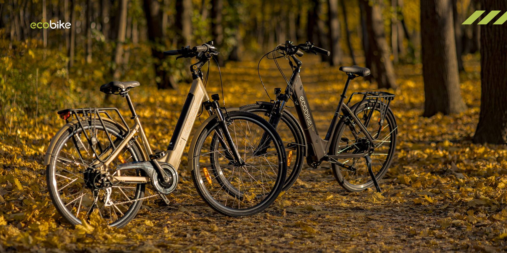 Unterschied zwischen E-Bike und Pedelec: Klrung und Vorteile  Ecobike-Shop