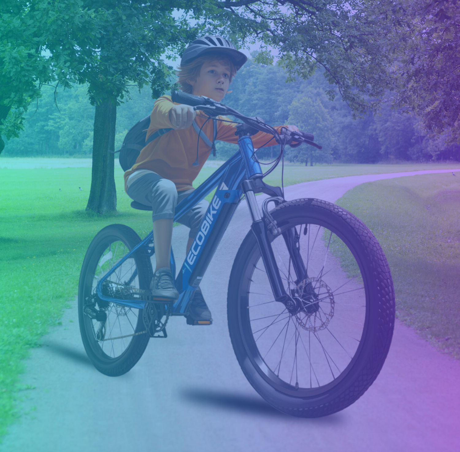 YOUTH E-BIKES PEDELEC