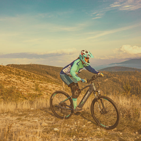 MTB E-Bike Pedelec