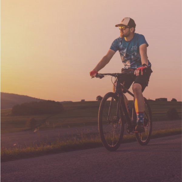 trekking E-Bike Pedelec von Ecobike