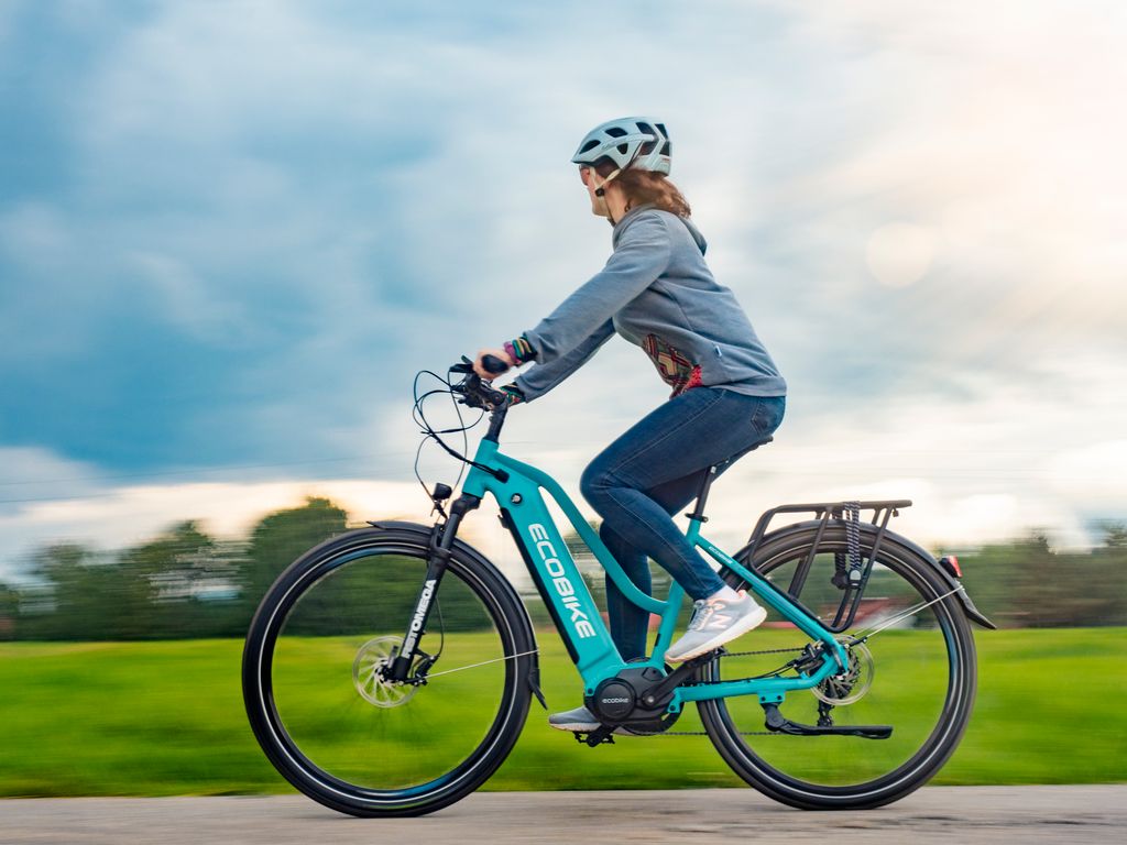Ecobike LX500 blau 19" - Pedelec Plus* 25km/h, Trekking E-Bike Damen, Ananda Mittelmotor 780W (136Nm), Akku bis 840Wh, 28 Zoll, Neu_2024