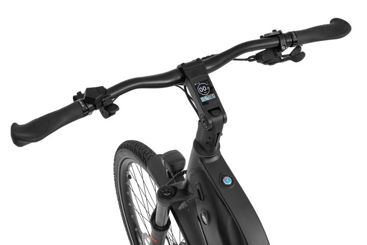 Ecobike MX 500 Graphite - Trekking E-Bike Pedelec, Ananda 130Nm