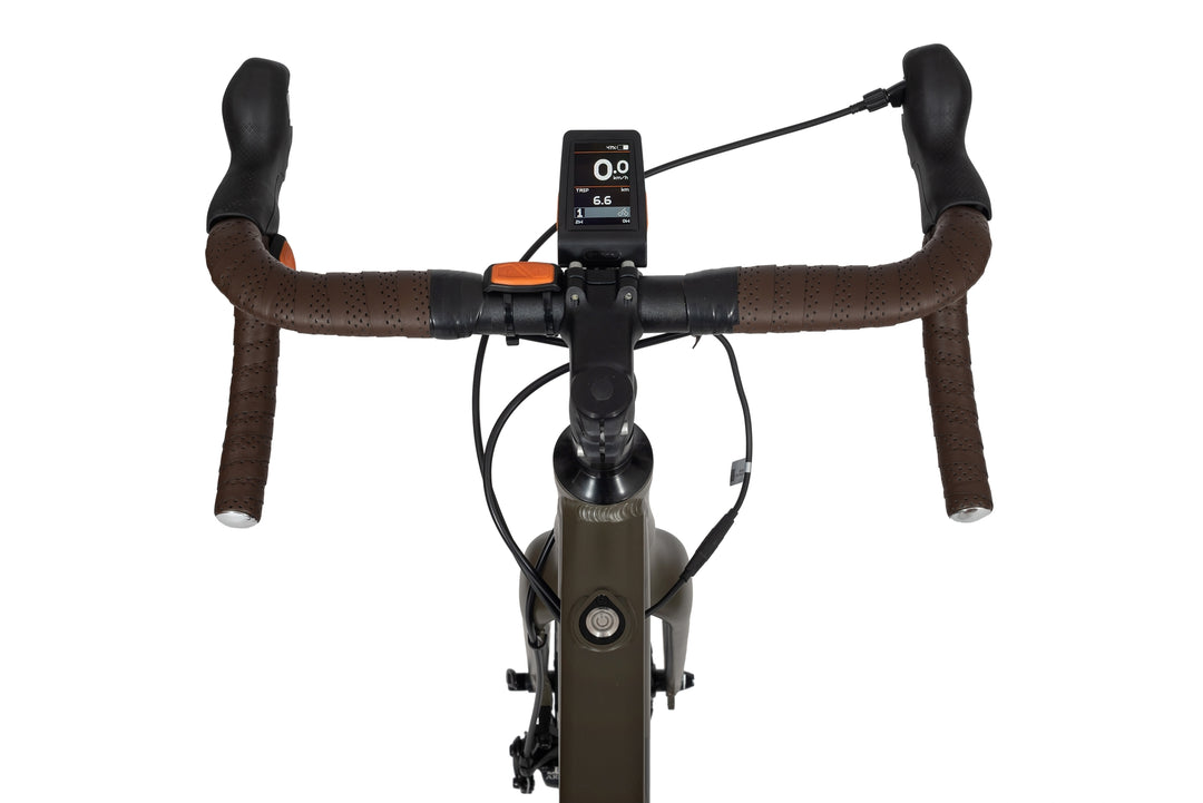 Ecobike FOREST Grün 19" - Gravel E-Bike Pedelec, Leichtes 16,7 kg, Bafang Motor