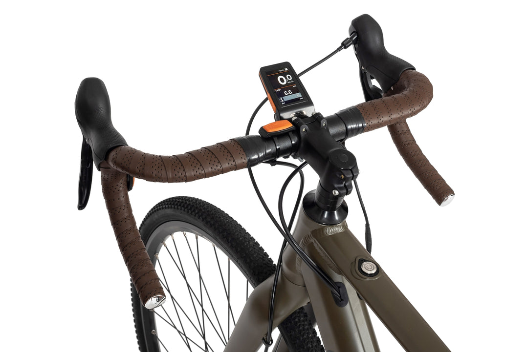 Ecobike FOREST Grün 19" - Gravel E-Bike Pedelec, Leichtes 16,7 kg, Bafang Motor