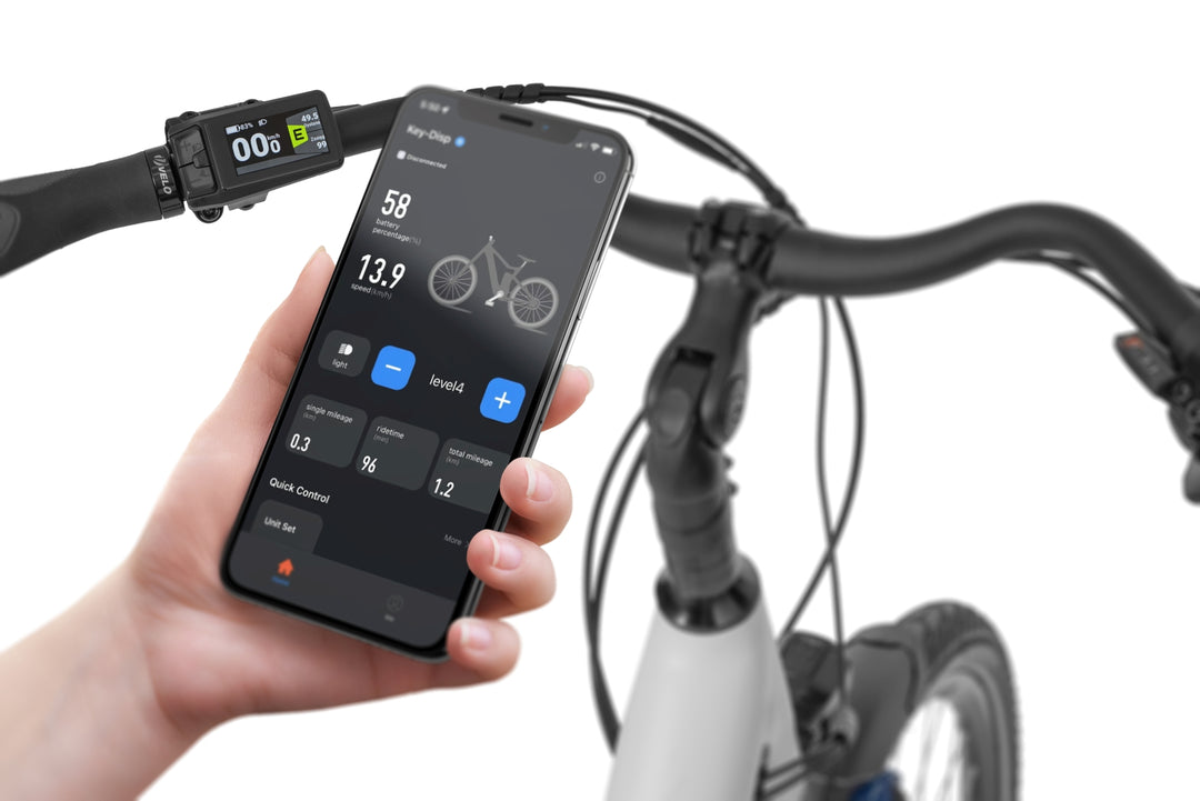 Ecobike LX100 Black/White City E-Bike Unisex Pedelec, Bafang 70Nm