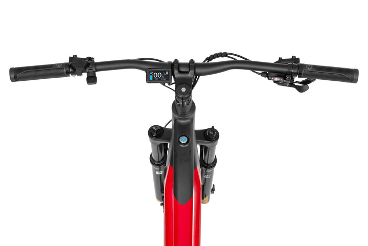 Ecobike RX 500 V4 mountain bike e-bike pedelec, Ananda 130Nm