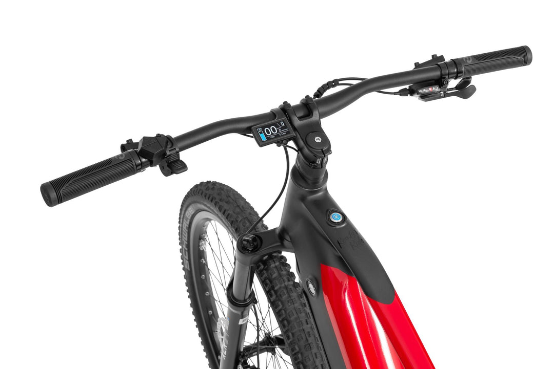 Ecobike RX 500 V4 mountain bike e-bike pedelec, Ananda 130Nm