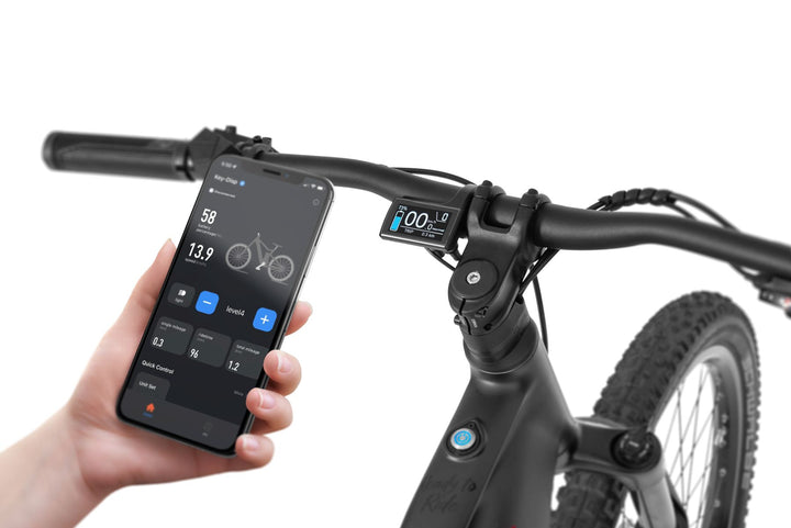 Ecobike RX 500 V4 mountain bike e-bike pedelec, Ananda 130Nm