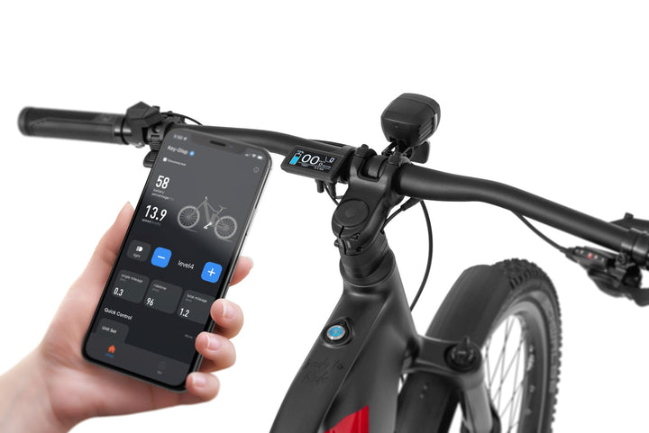 Ecobike RX 500 SUV V4 red-black/blue, SUV e-bike pedelec, Ananda 130NM