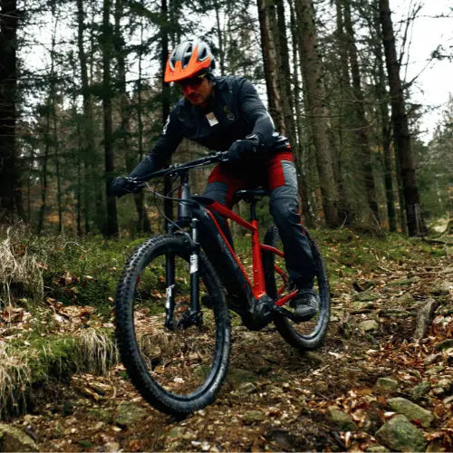 MTB E-Bike Pedelec