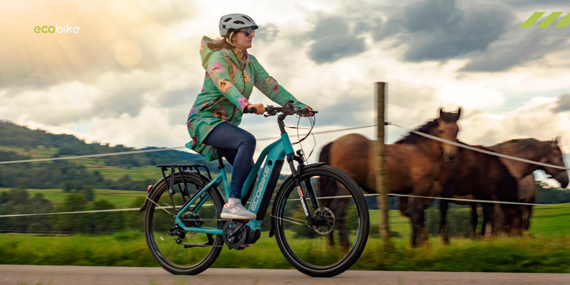 Ecobike: Budget-freundliche E-Bike-Optionen - RX500, LX500 und MX500