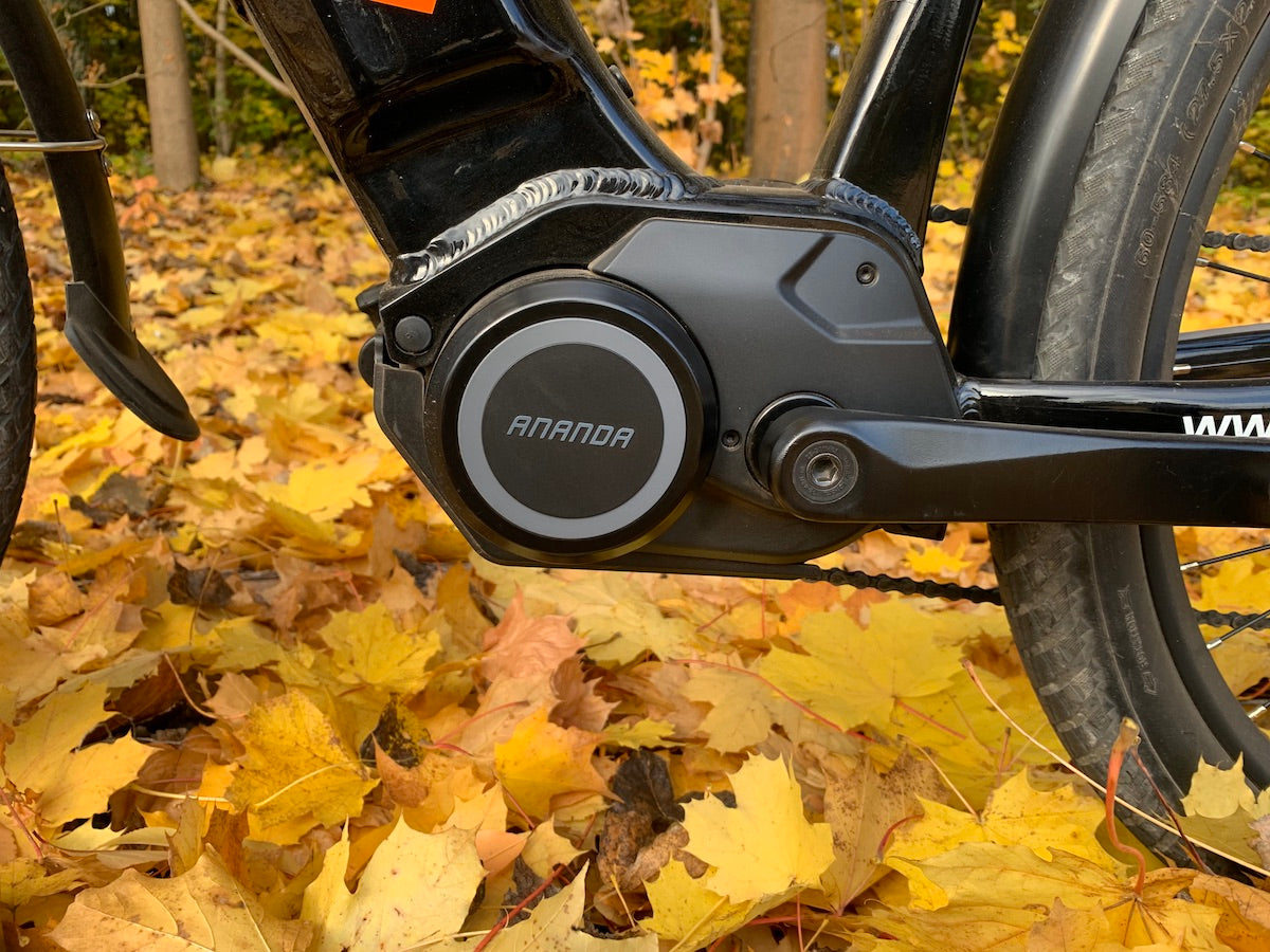 Ananda e Bike Mittelmotor