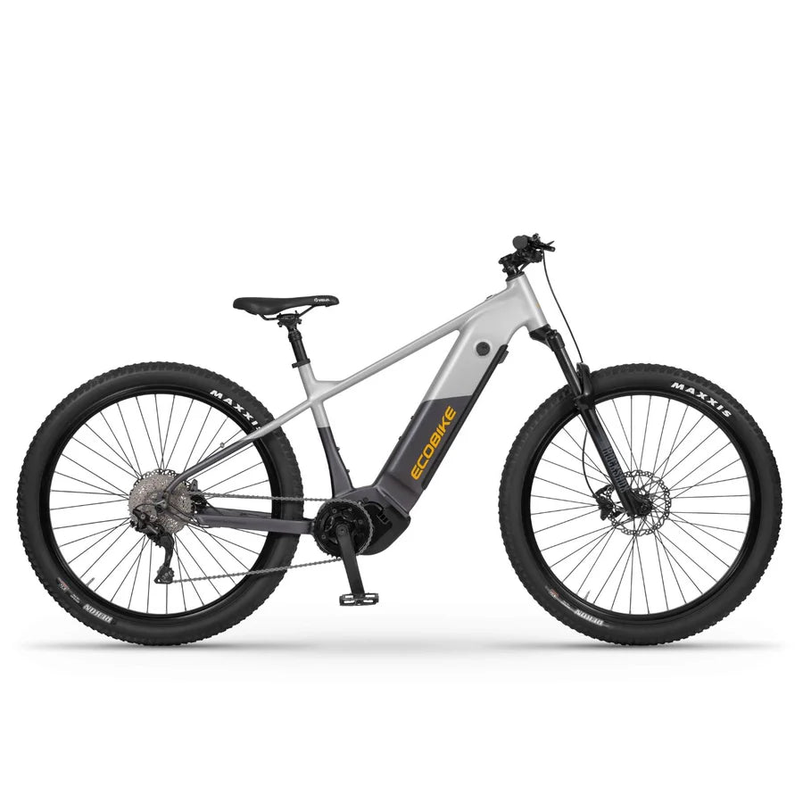 E Mountainbike Herren