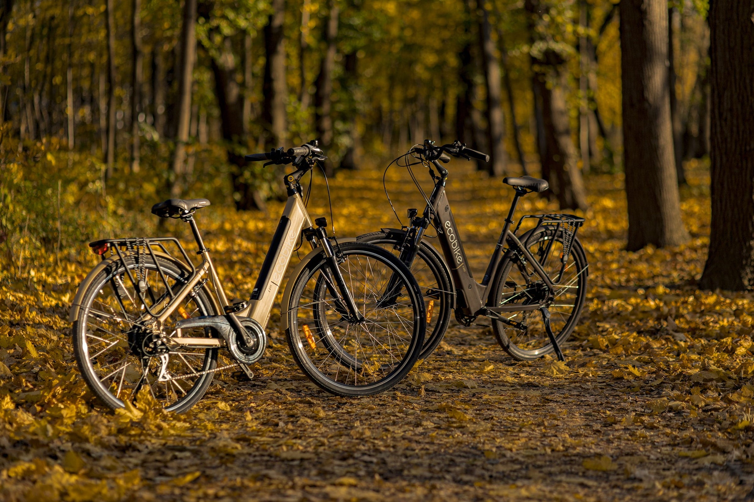 Unisex E-Bikes Pedelec
