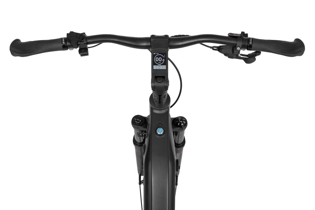 Ecobike LX 500 Graphite 2026 - Detail Cockpit