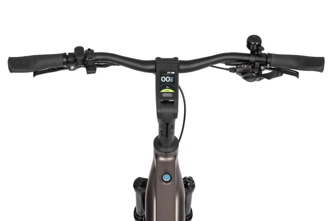 Ecobike MX 300 Golden Grey 2026 - Detail Antrieb