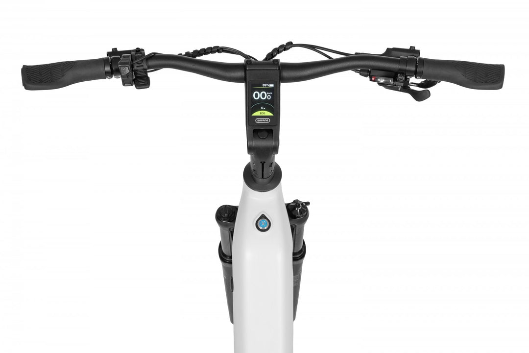 fahrrad kaufen per lastschrift Ecobike LX 300 White 2026 | Trekking