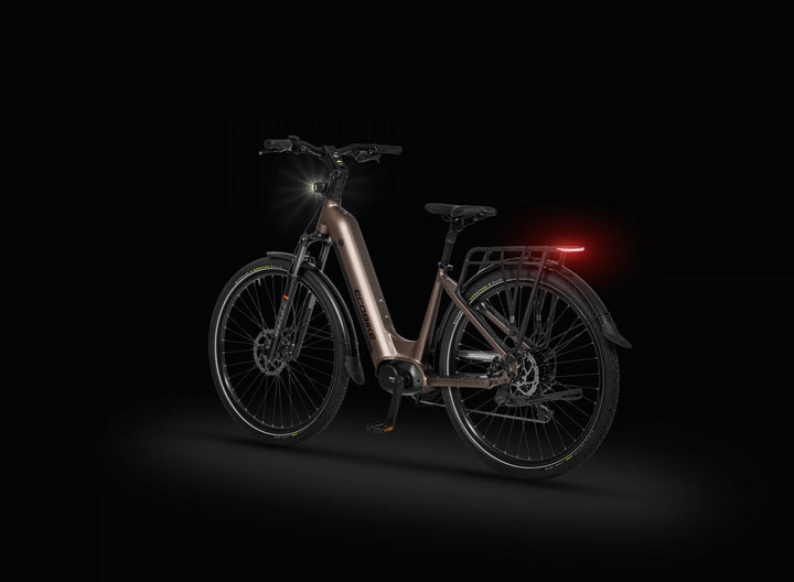 Ecobike LX 300 Onyx 2026 – Damen Trekking E-Bike mit Bafang 100 Nm