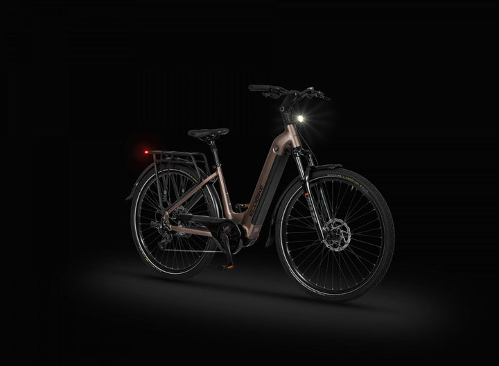 Ecobike LX 300 Onyx 2026 – Damen Trekking E-Bike mit Bafang 100 Nm