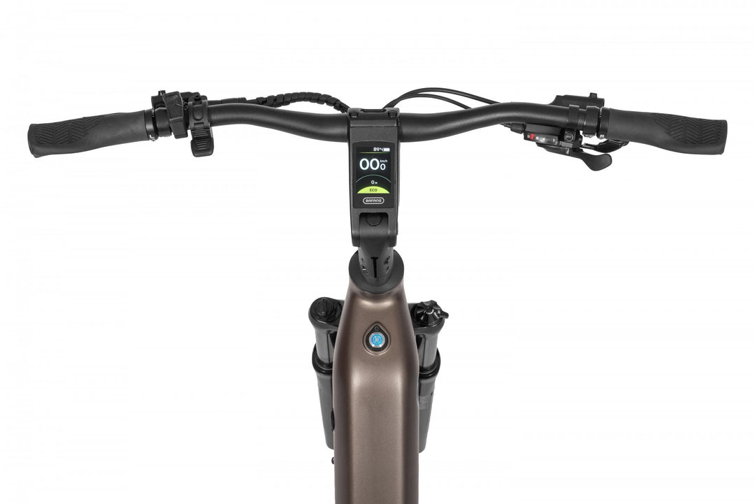 Ecobike LX 300 Onyx 2026 – Damen Trekking E-Bike mit Bafang 100 Nm