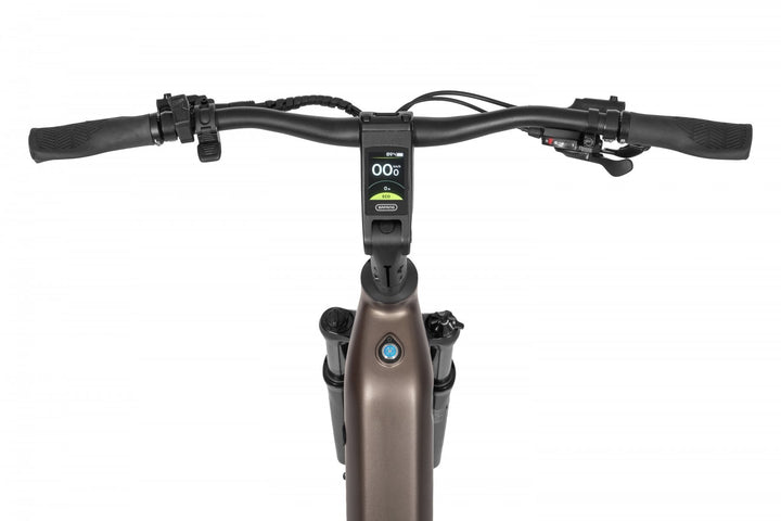 Ecobike LX 300 Onyx 2026 – Damen Trekking E-Bike mit Bafang 100 Nm