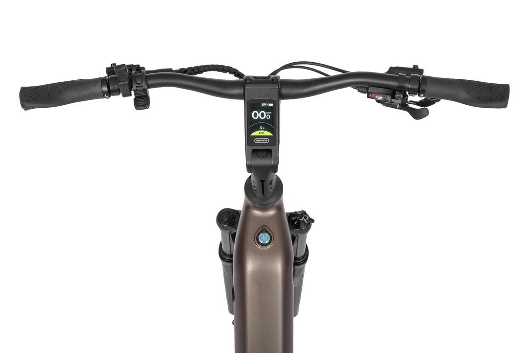 Ecobike LX 300 Onyx 2026 - Detail Schaltung