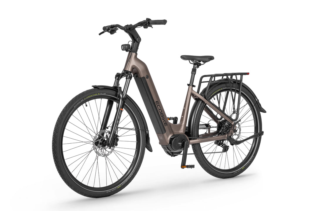 Ecobike LX 300 Onyx 2026 - Detail Cockpit