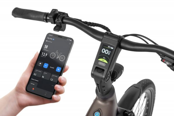 Ecobike LX 300 Onyx 2026 – Damen Trekking E-Bike mit Bafang 100 Nm