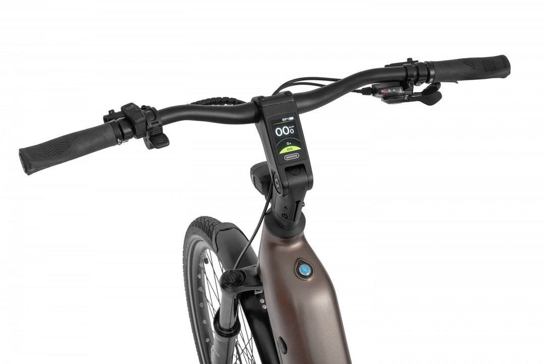 Ecobike LX 300 Onyx 2026 – Damen Trekking E-Bike mit Bafang 100 Nm