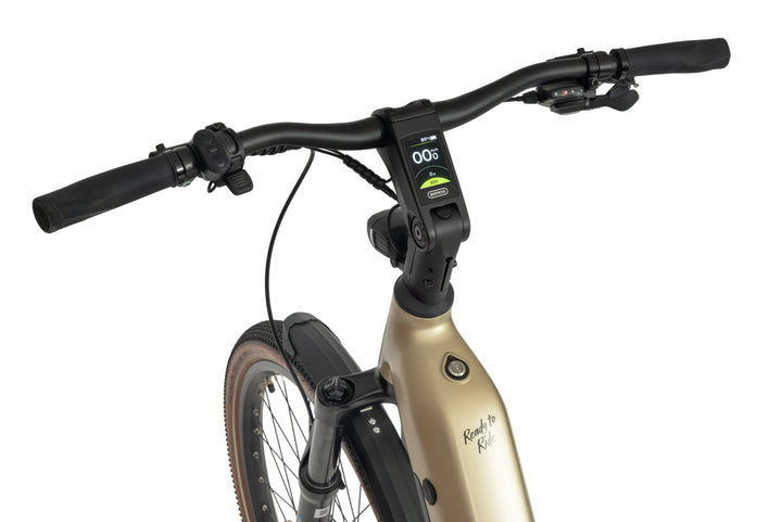 Ecobike FLEX 2026 Titan - Vollfederung