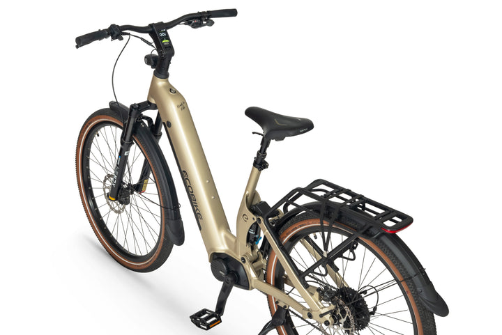 Ecobike FLEX 2026 Titan - Detail Cockpit
