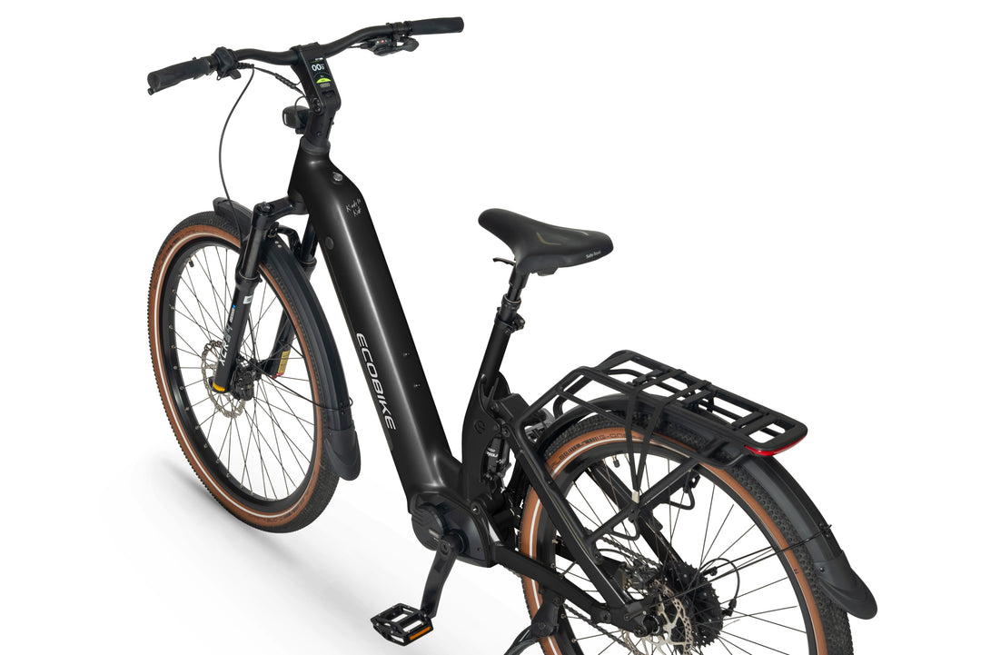 Ecobike FLEX 2026 Schwarz - Detail Cockpit