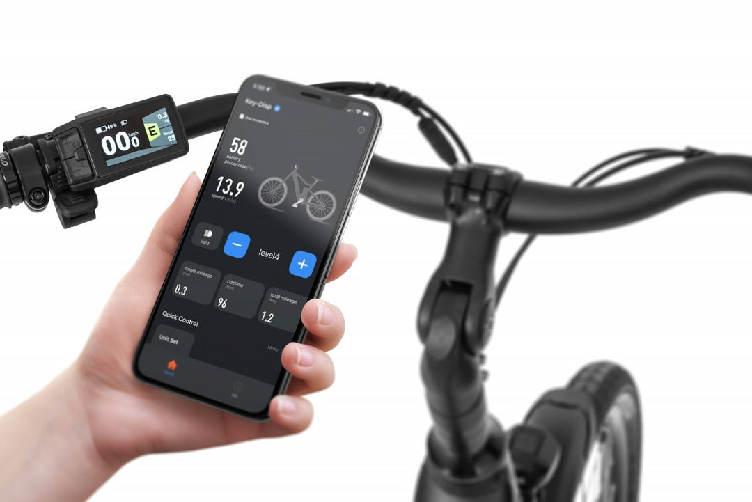 Ecobike X-City Schwarz 2026 – Lifestyle