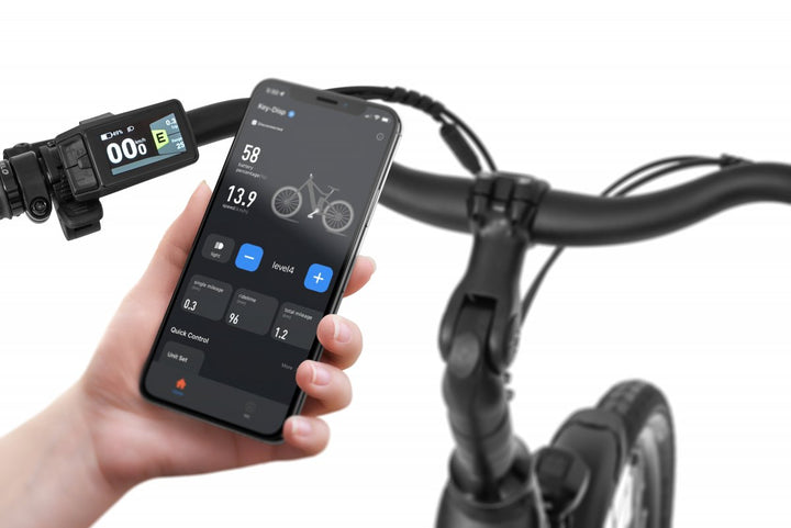 Ecobike X-City Schwarz 2026 – Lifestyle