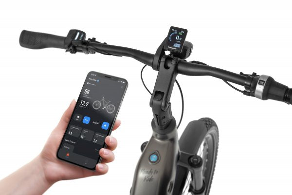 Ecobike DARE Low Step 2026 — Panasonic e-Bike App Smartphone Bluetooth Konnektivität