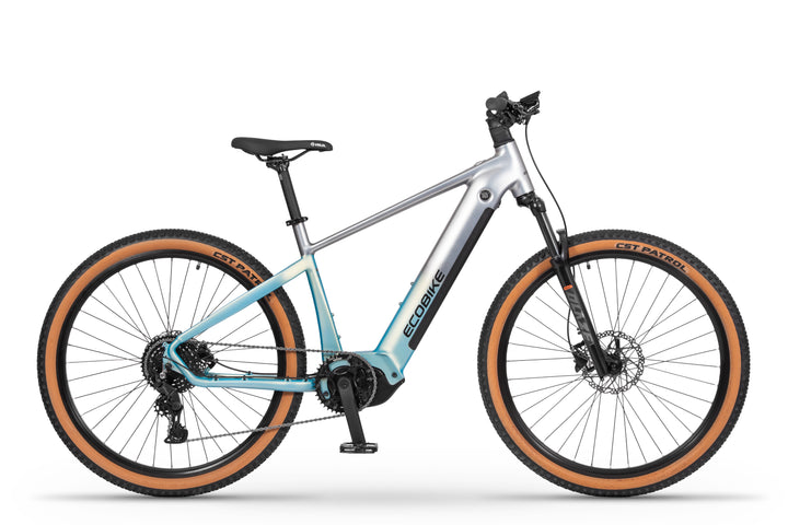 Ecobike CORE 2026 Arctic Fade/Moonstone -Mountainbike E-Bike Pedelec, Panasonic 100Nm
