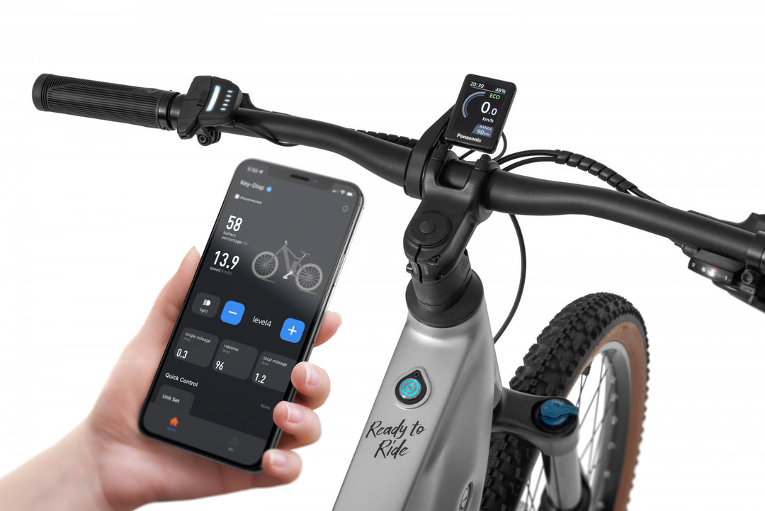 Ecobike Core 2026 – E-Mountainbike Pedelec mit Panasonic 100 Nm