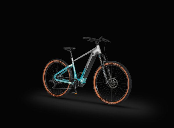 Ecobike CORE 2026 Arctic Fade/Moonstone -Mountainbike E-Bike Pedelec, Panasonic 100Nm