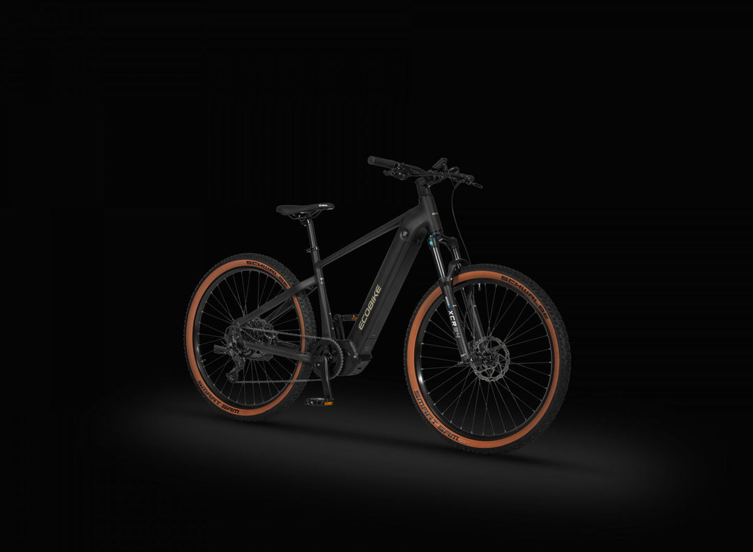 Ecobike CORE 2026 Arctic Fade/Moonstone -Mountainbike E-Bike Pedelec, Panasonic 100Nm