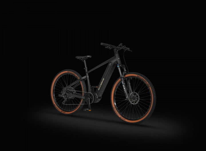 Ecobike CORE 2026 Arctic Fade/Moonstone -Mountainbike E-Bike Pedelec, Panasonic 100Nm