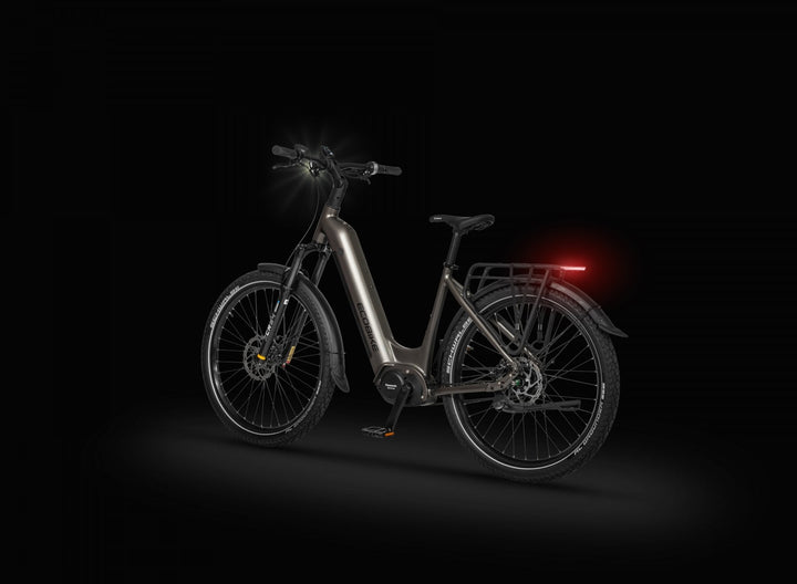 Ecobike DARE Low Step 2026 - Studio schwarz, Heckansicht mit Rücklicht und Gepäckträger