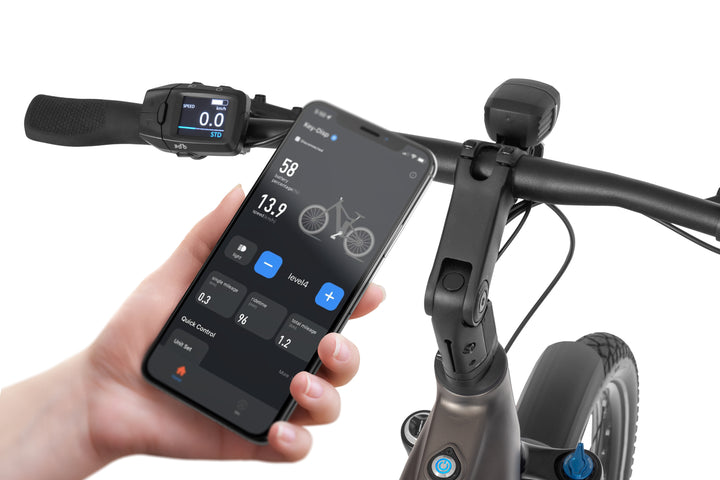 Ecobike Dare Grey - SUV E-Bike Pedelec, Panasonic GX hub gear belt drive GPS navigation