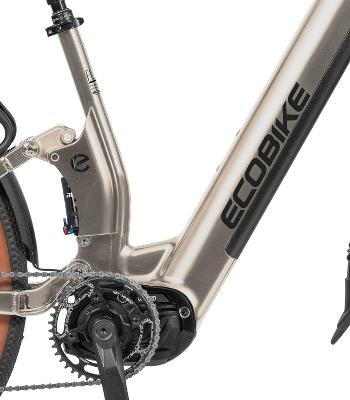 Ecobike FLEX SCHWARZ/TITAN- 2026 Trekking FULLY Power-Bike mit Bafang 100Nm Drehmoment und 900 Wh Akku
