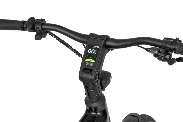 Ecobike FLEX SCHWARZ/TITAN- 2026 Trekking FULLY Power-Bike mit Bafang 100Nm Drehmoment und 900 Wh Akku