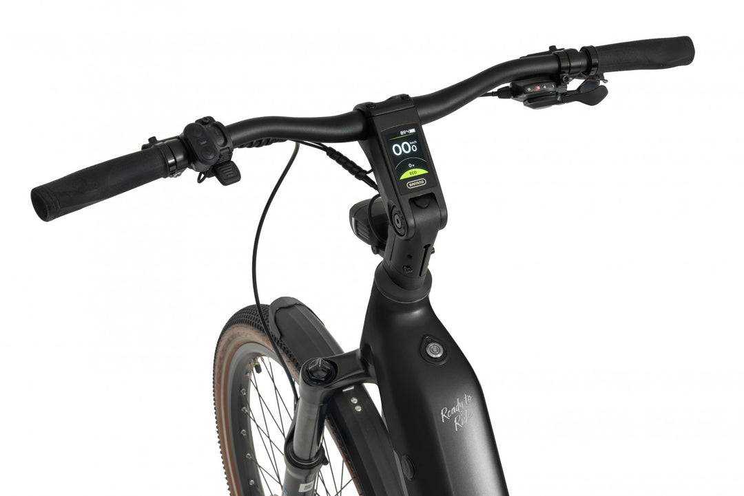 FLEX Trekking Fully E-Bike 2026 | Bafang 100Nm