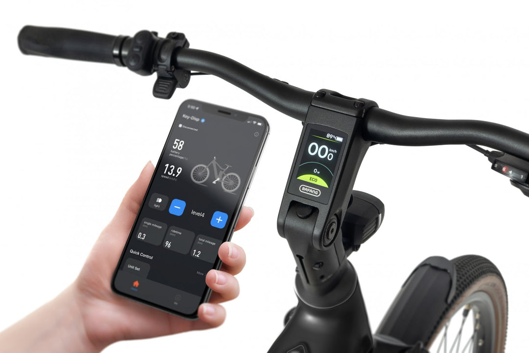 Ecobike Flex 2026 – Trekking Fully E-Bike mit Bafang 100 Nm und 900 Wh Akku