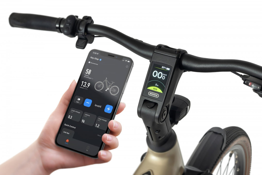 Ecobike Flex 2026 – Trekking Fully E-Bike mit Bafang 100 Nm und 900 Wh Akku