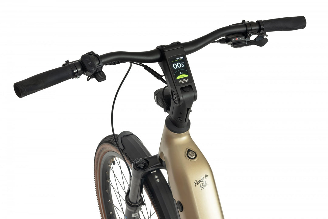 Ecobike FLEX SCHWARZ/TITAN- 2026 Trekking FULLY Power-Bike mit Bafang 100Nm Drehmoment und 900 Wh Akku