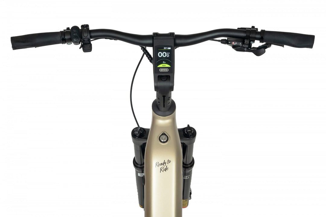 Ecobike FLEX SCHWARZ/TITAN- 2026 Trekking FULLY Power-Bike mit Bafang 100Nm Drehmoment und 900 Wh Akku