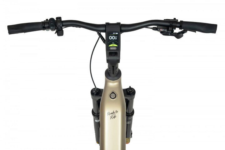 Ecobike FLEX SCHWARZ/TITAN- 2026 Trekking FULLY Power-Bike mit Bafang 100Nm Drehmoment und 900 Wh Akku